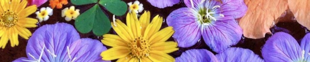 カラフルな花の背景写真